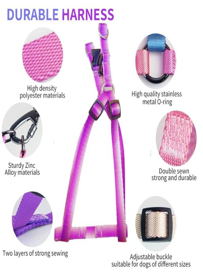 KittuPet طقم حزام ومقود قابل للتعديل من KittuPet Ombre Colorblock للكلاب الصغيرة والمتوسطة الحجم للتدريب الخارجي والجري باللونين الأبيض والبنفسجي (15 مم) - Image 4